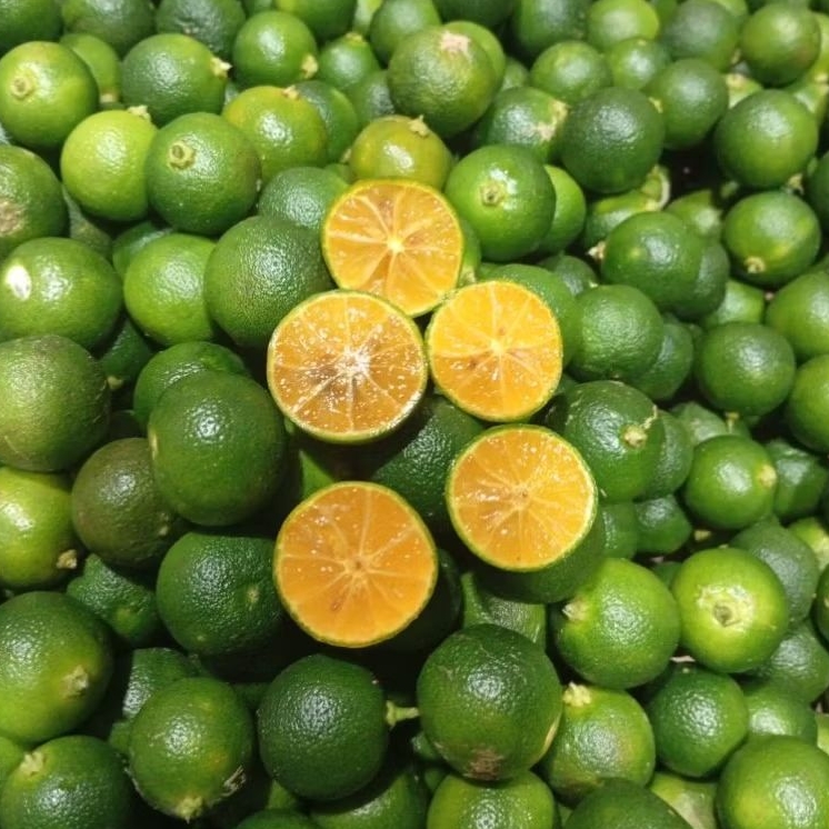 

JERUK SONKIT PREMIUM /JERUK KUNCI /JERUK PERAS BOGOR