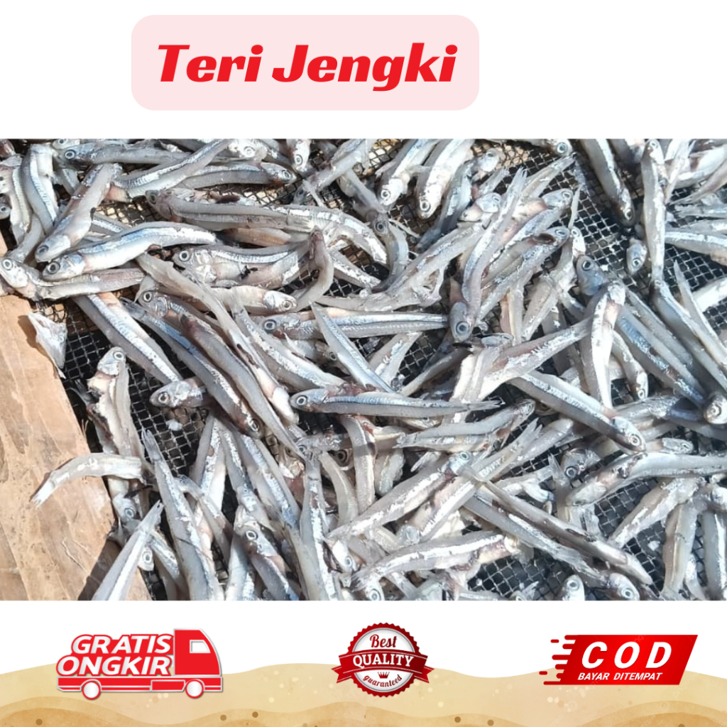 

Teri Jengki 500 Gram Kering Premium Food