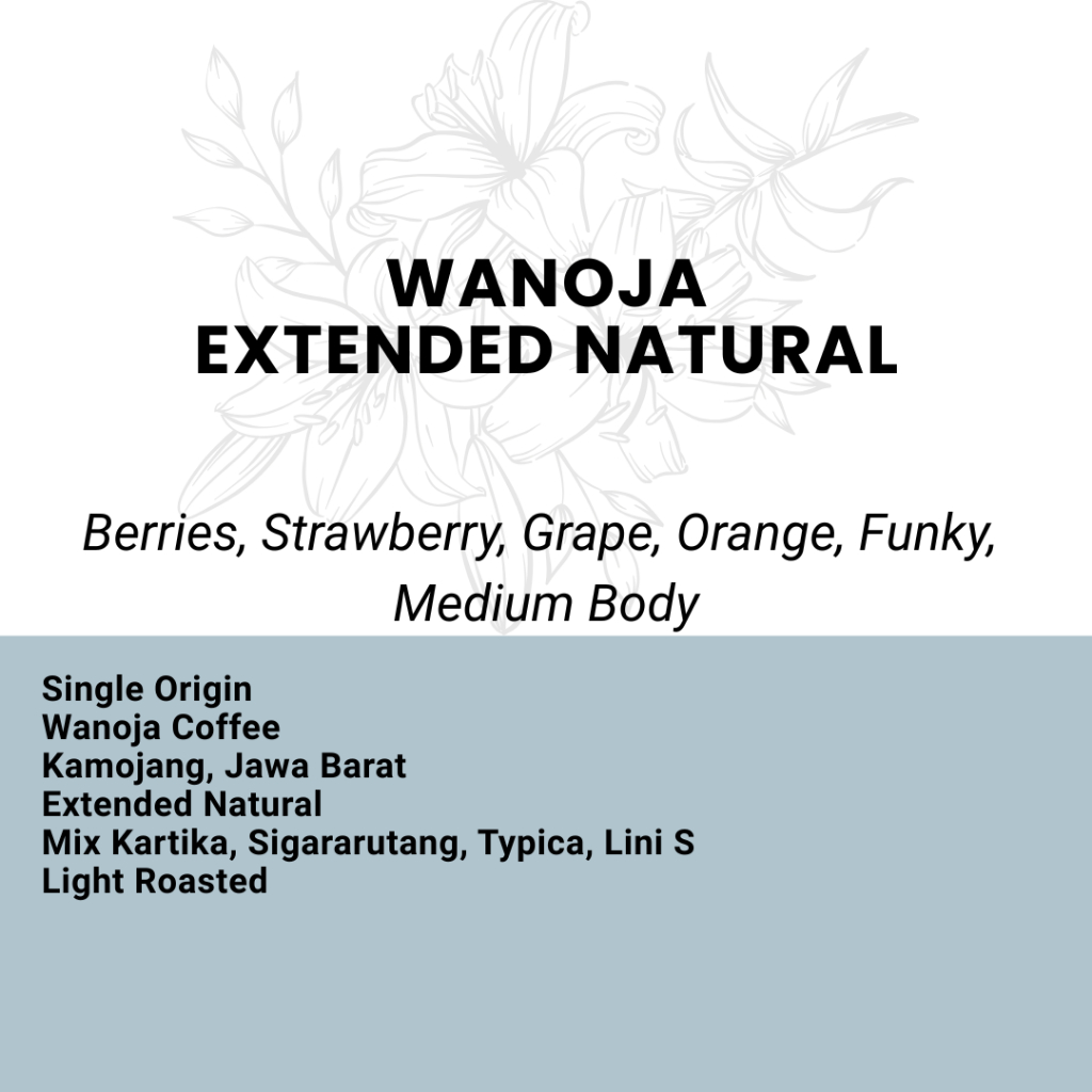 

Kopi Arabika Wanoja Extended Natural Single Origin Fresh Roast 100gr 200gr - Biji dan Bubuk Asli Premium Coffee
