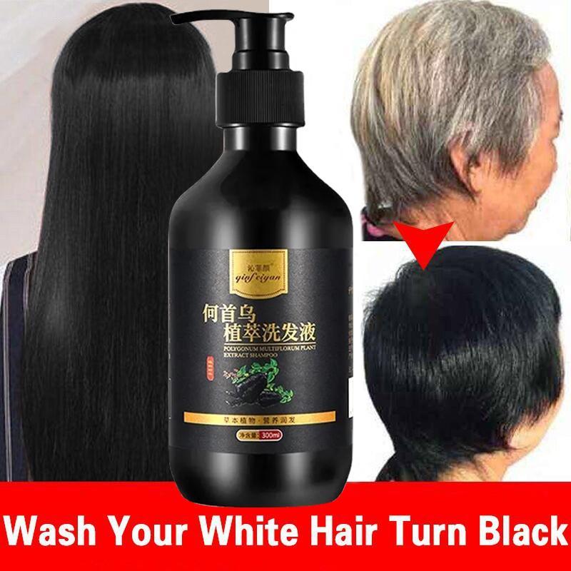 Sampo Penghilang Uban Shampoo Black Herbal Natural Polygonum Multiflorum Hair Blackening perawatan r