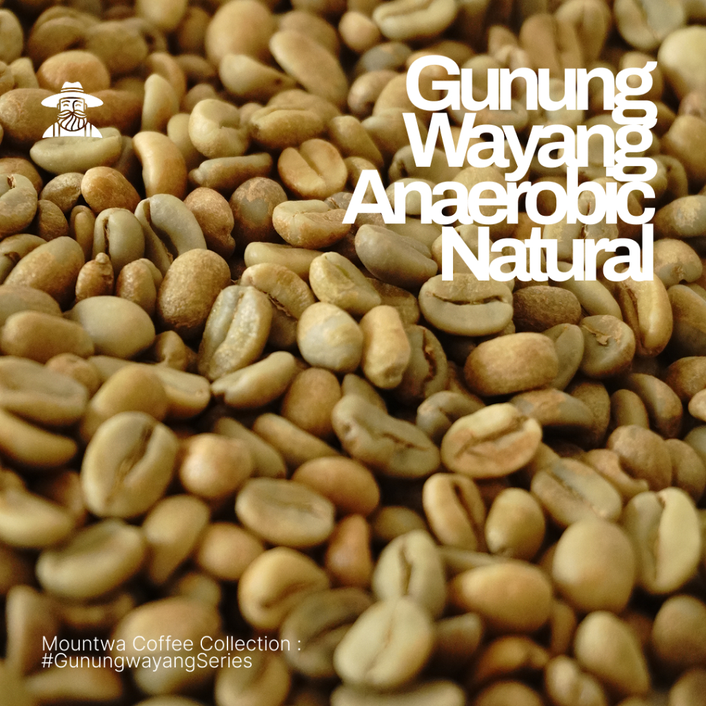 

Green Bean Arabika Natural Anaerobic Gunung Wayang/ Biji Kopi Mentah 1kg