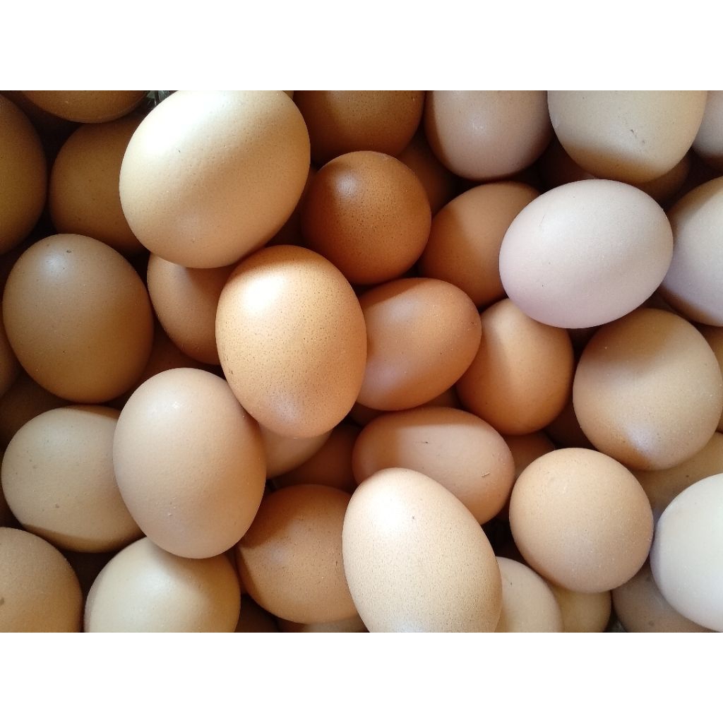 

telur ayam 250 gram 1/4 kg isi 4-5 butir lauk jogja