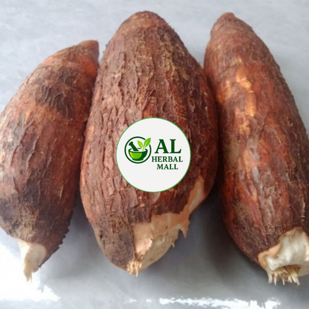 

Singkong Sapi Kuru Karihkil Segar 1Kg