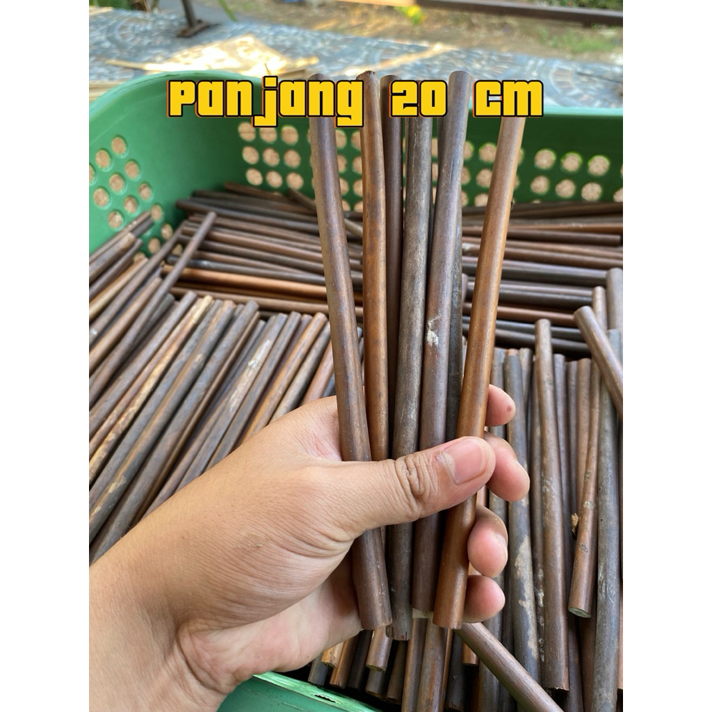 

20cm hadam, qolam, kalam, kaligrafi , batangan belum di raut