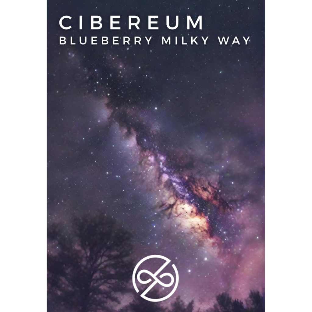 

Nome Coffee - Beans Specialty Arabica Cibereum Garut Blueberry Milky Way Ateng Super Natural Anaerob