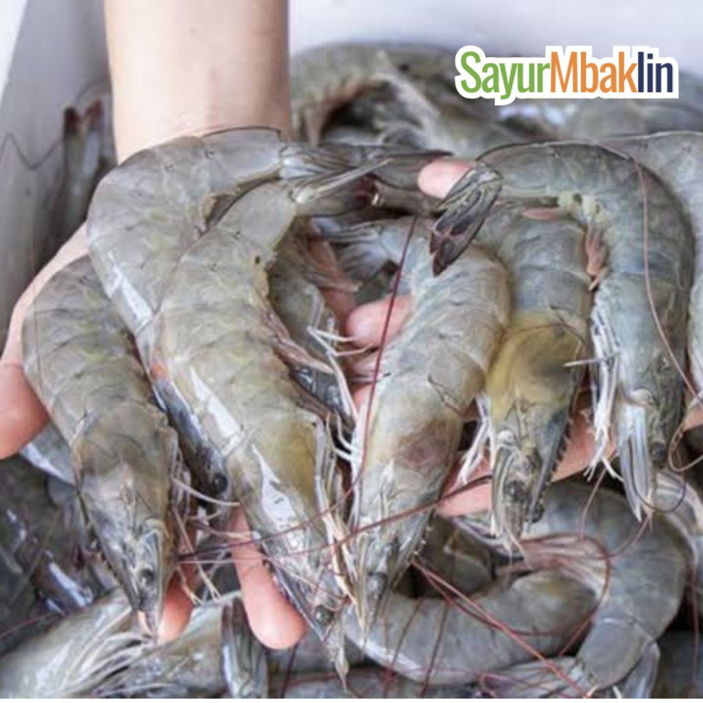 

Udang Segar Besar, Sedang dan Kecil berat 250g Sayurmbakiin
