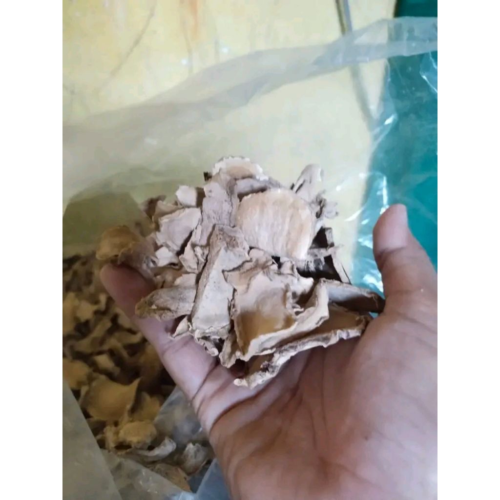 

100 gram Kunyit putih Temu putih asli 100% original kering