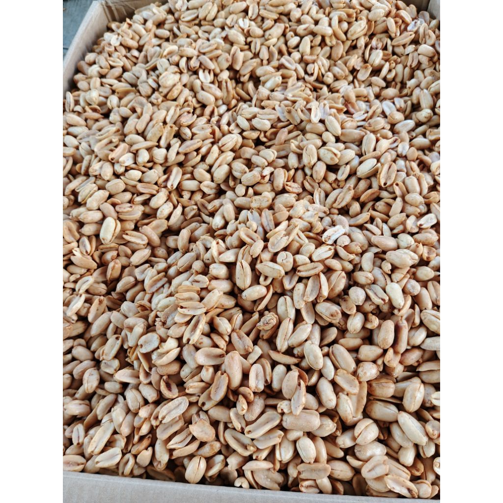 

kacang goreng rasa bawang1000gr