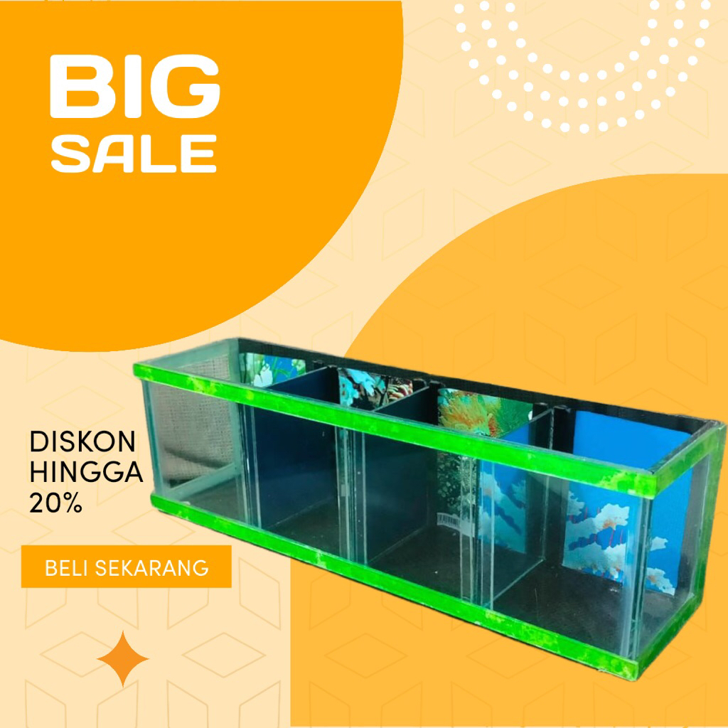 Aquarium cupang sekat 4