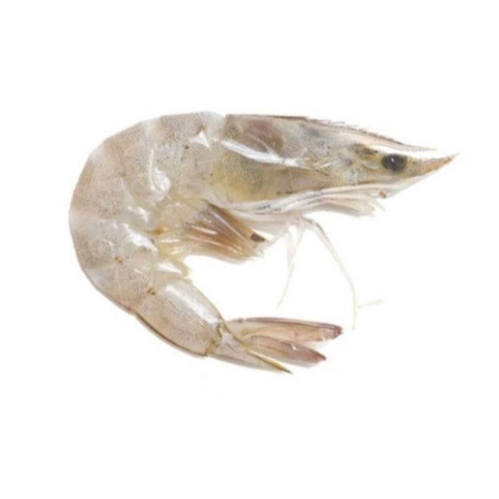 Udang Vaname SIZE 40-50 (Besar) - Segar & Lembut