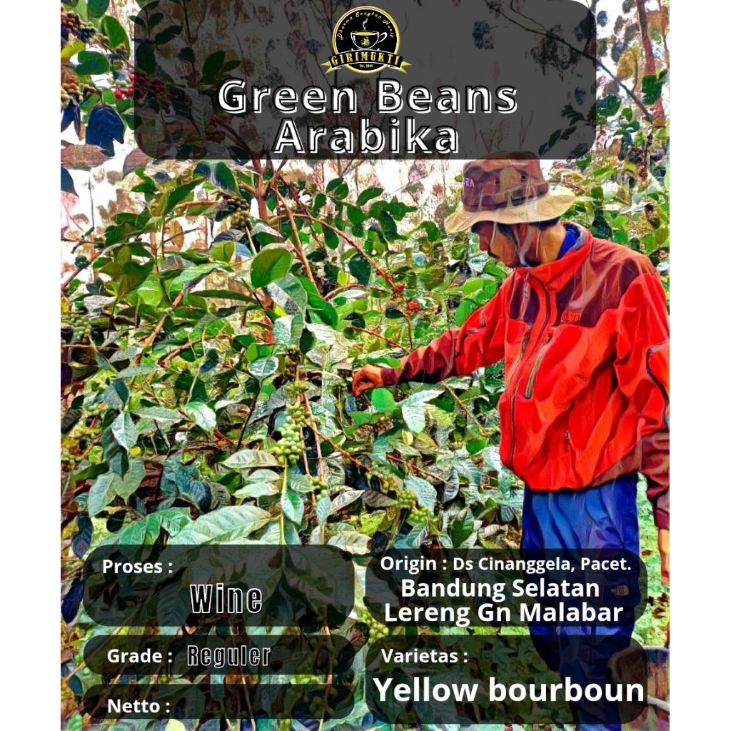 

GreenBeans Black Wine Kopi Arabika Yellow Bourboun