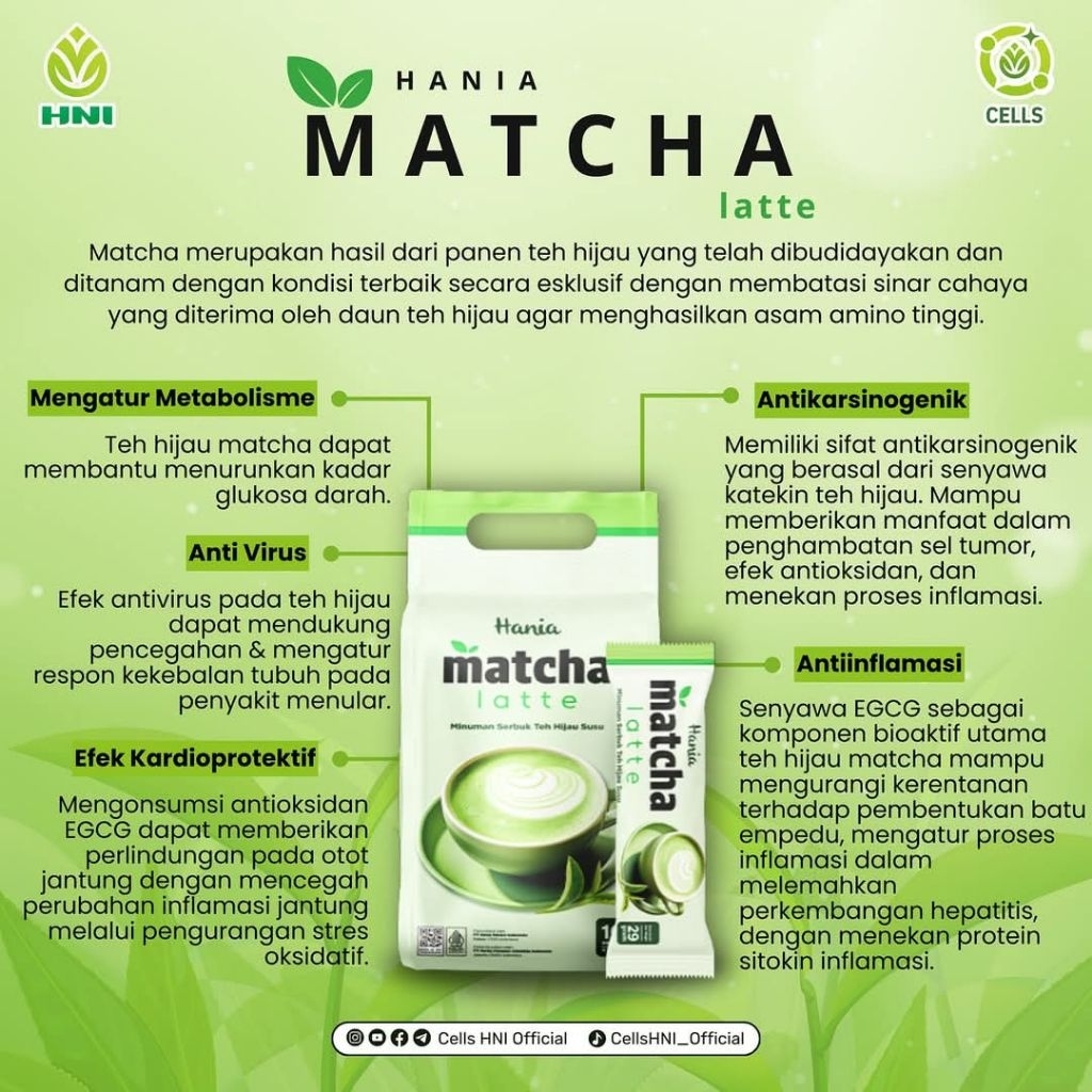 

Matcha, Hania Matcha Latte HNI