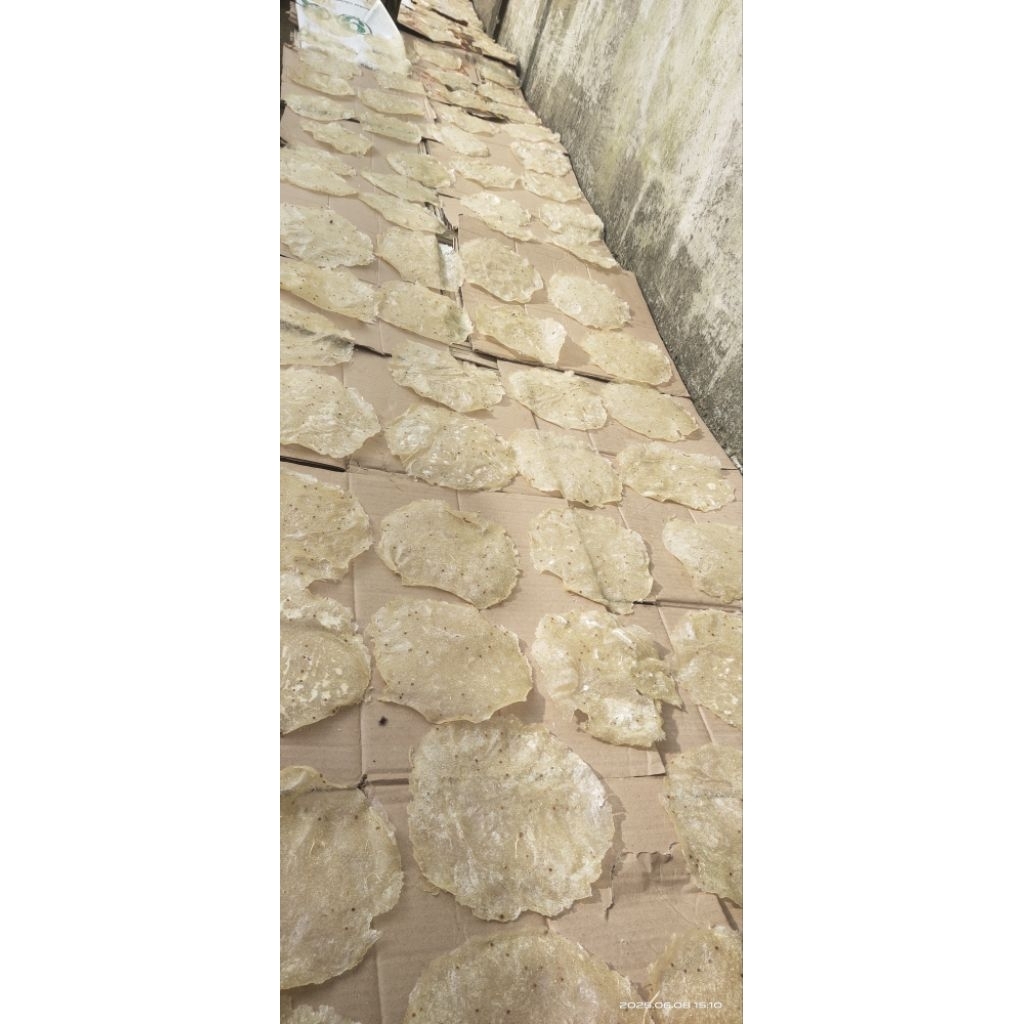 

Opak/Kropak/Sarmier Asli Produk Rumahan 100% halal