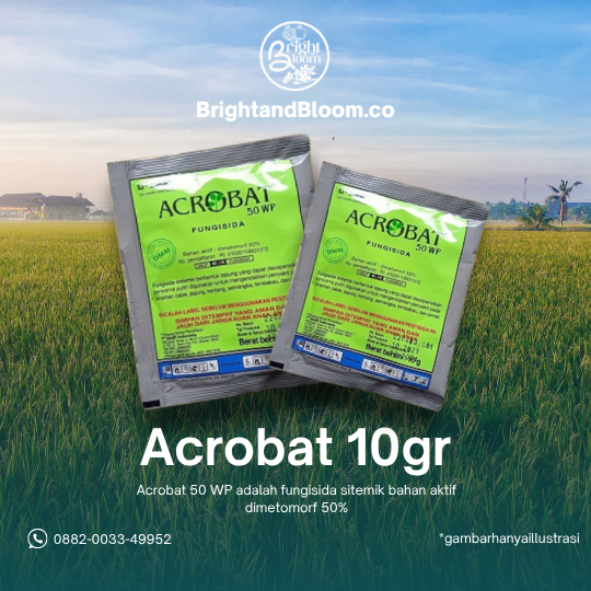 ACROBAT 10gr( Acrobat 50 WP )