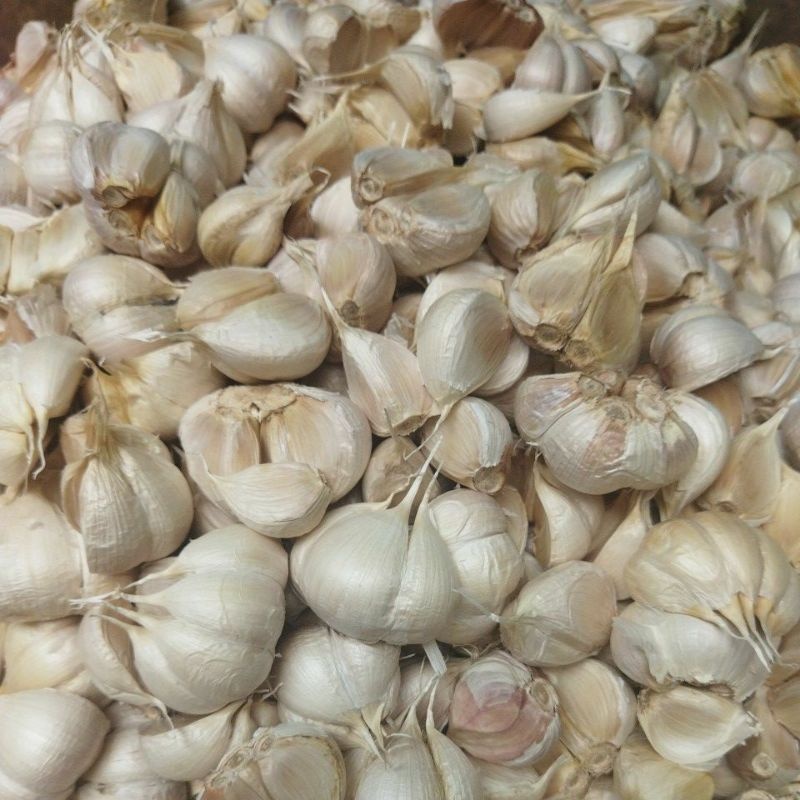 

Bawang Putih Kating - 1.000gr (1 Kg)