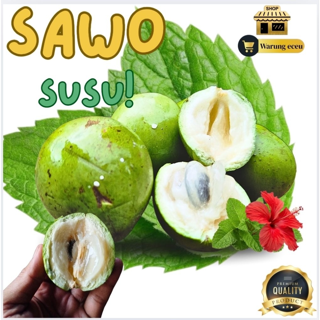 

[ PROMO MEGA SALE 9.9 ] Buah Sawo Susu 1 KG | Buah Sawo Hijau | Sawo putih | Kenitu | Genitu-Manis Alami Buah Tropis Nusantara