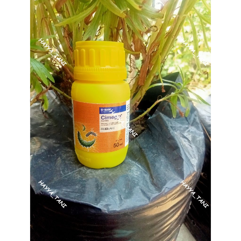 Insektisida CIMEGRA 100SC