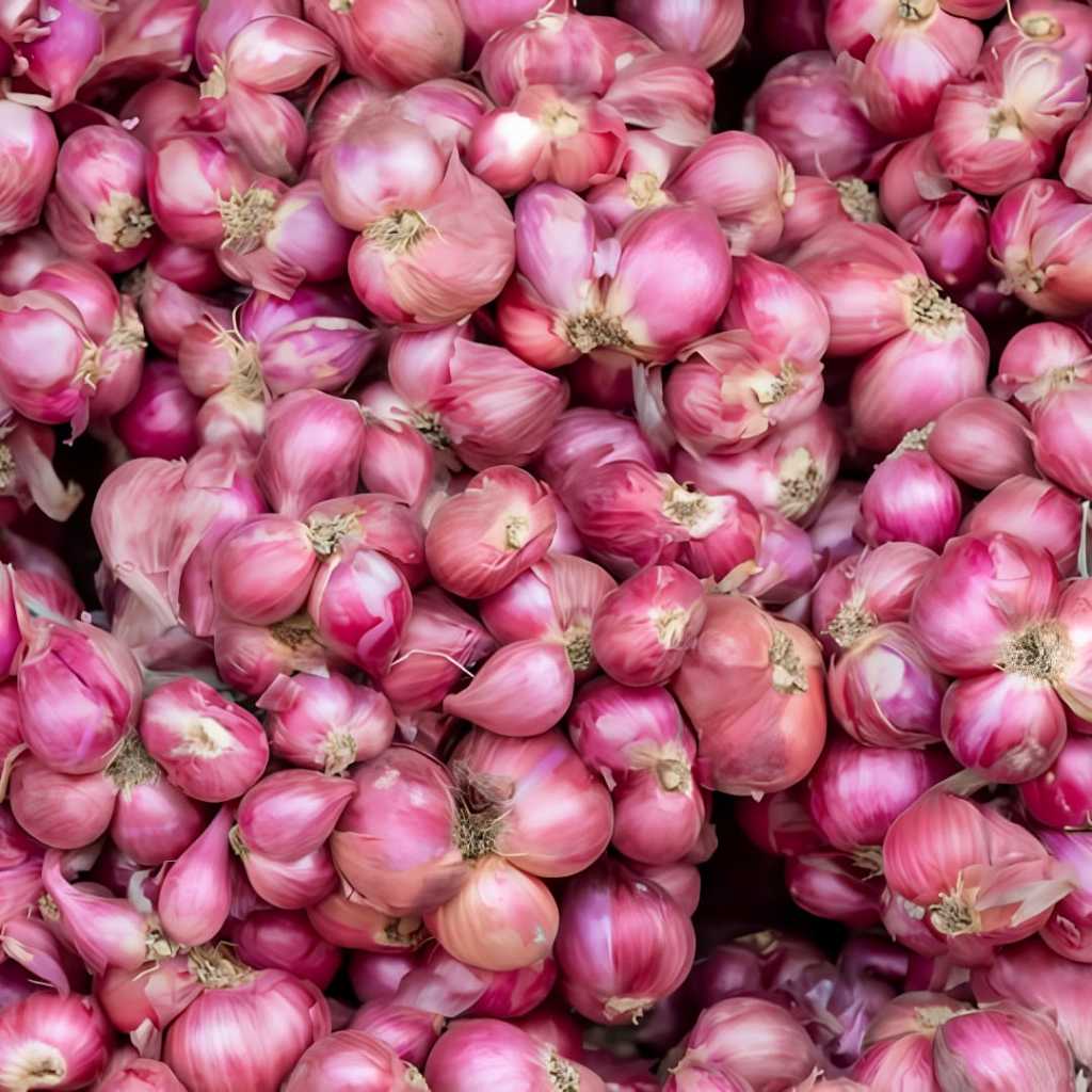 

BAWANG MERAH SUPER 250Gr FRESH ALAMI