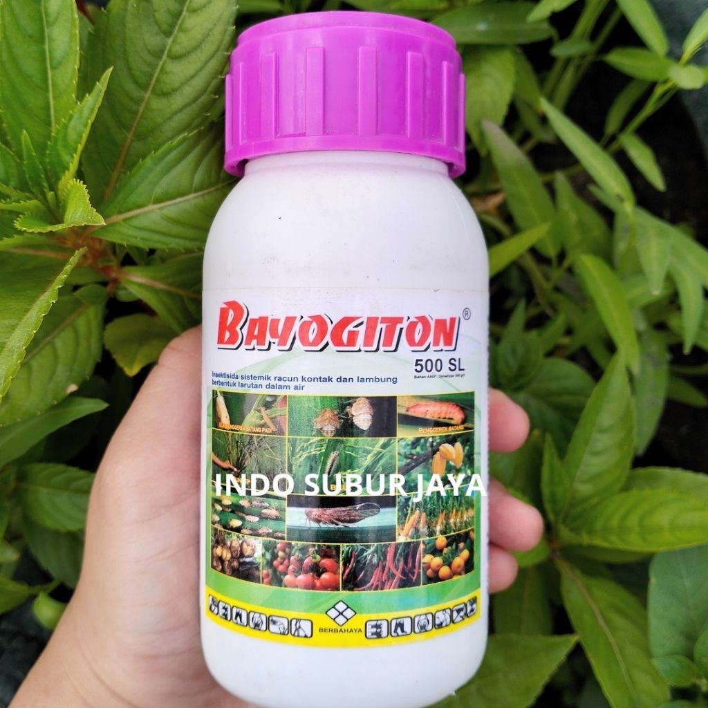 Bayogiton 500 SL 200 ML Insektisida Basmi Sundep, Kutu Kebul, Kutu Daun, Wereng Coklat Tanaman
