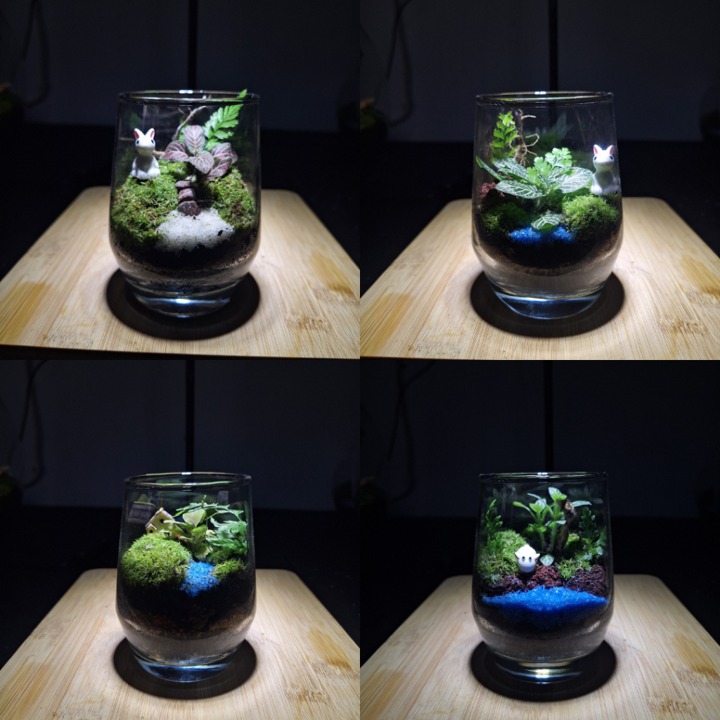 Closed Terrarium - Mini Glass Forest | Terrarium Tertutup | Terrarium Gift - KIT