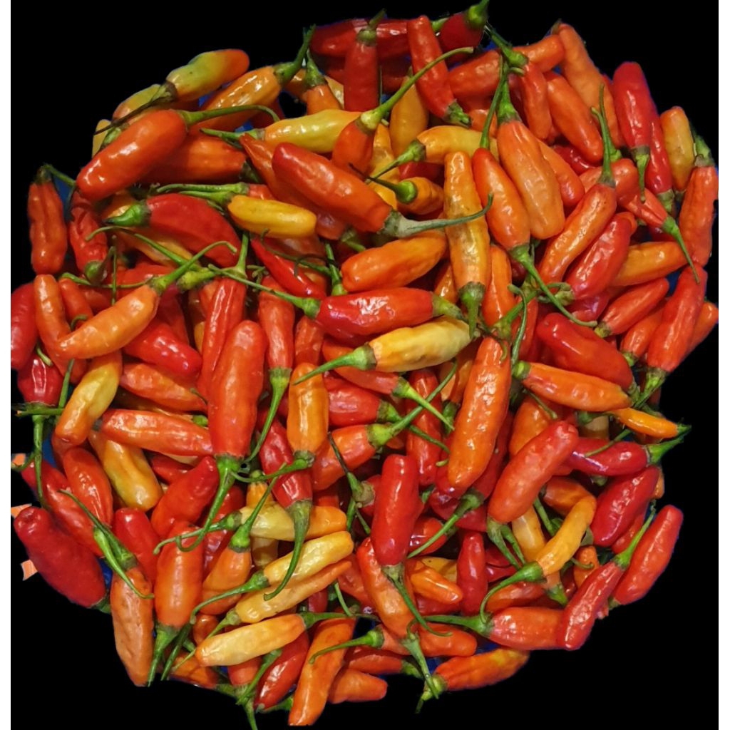 

Cabe rawit merah 500 gr