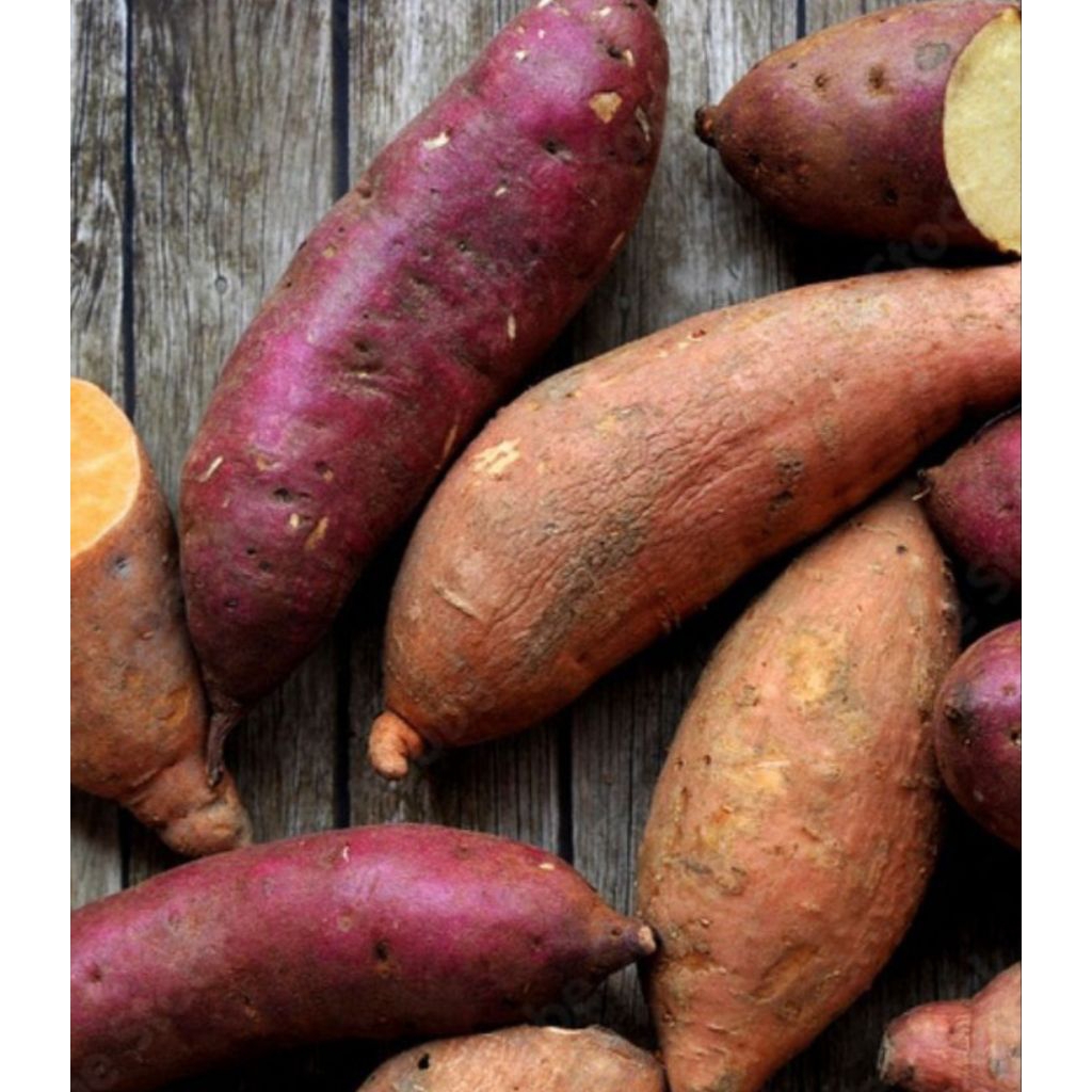 

ubi ungu ubi kuning 500 gram