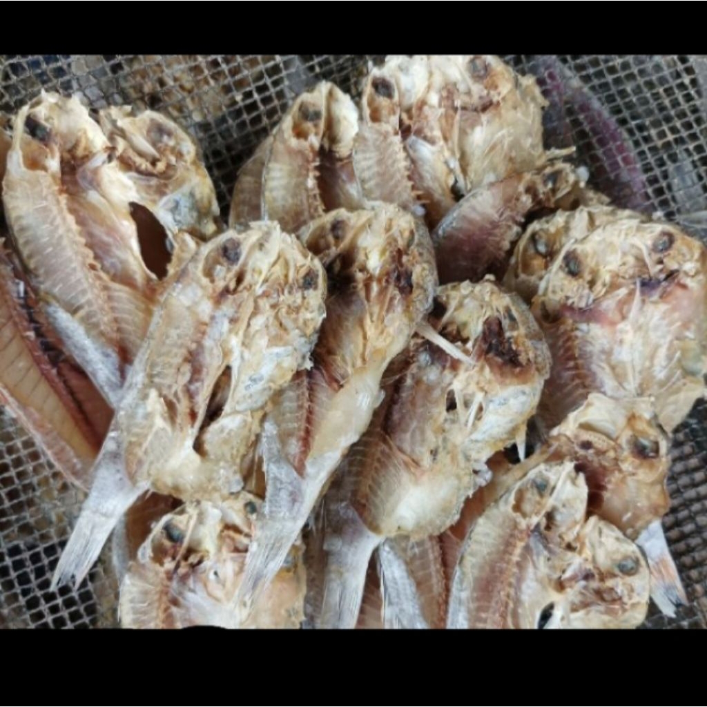 

ikan asin belah kepala batu campur kuniran ukuran besar n sedang, benar2 kering bukan basah ya. bahan alami harga mulai 1 kg
