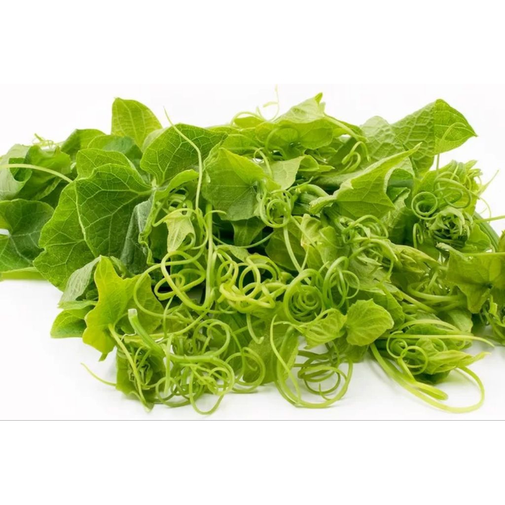 

daun labu Siam segar 1 ikat 250g