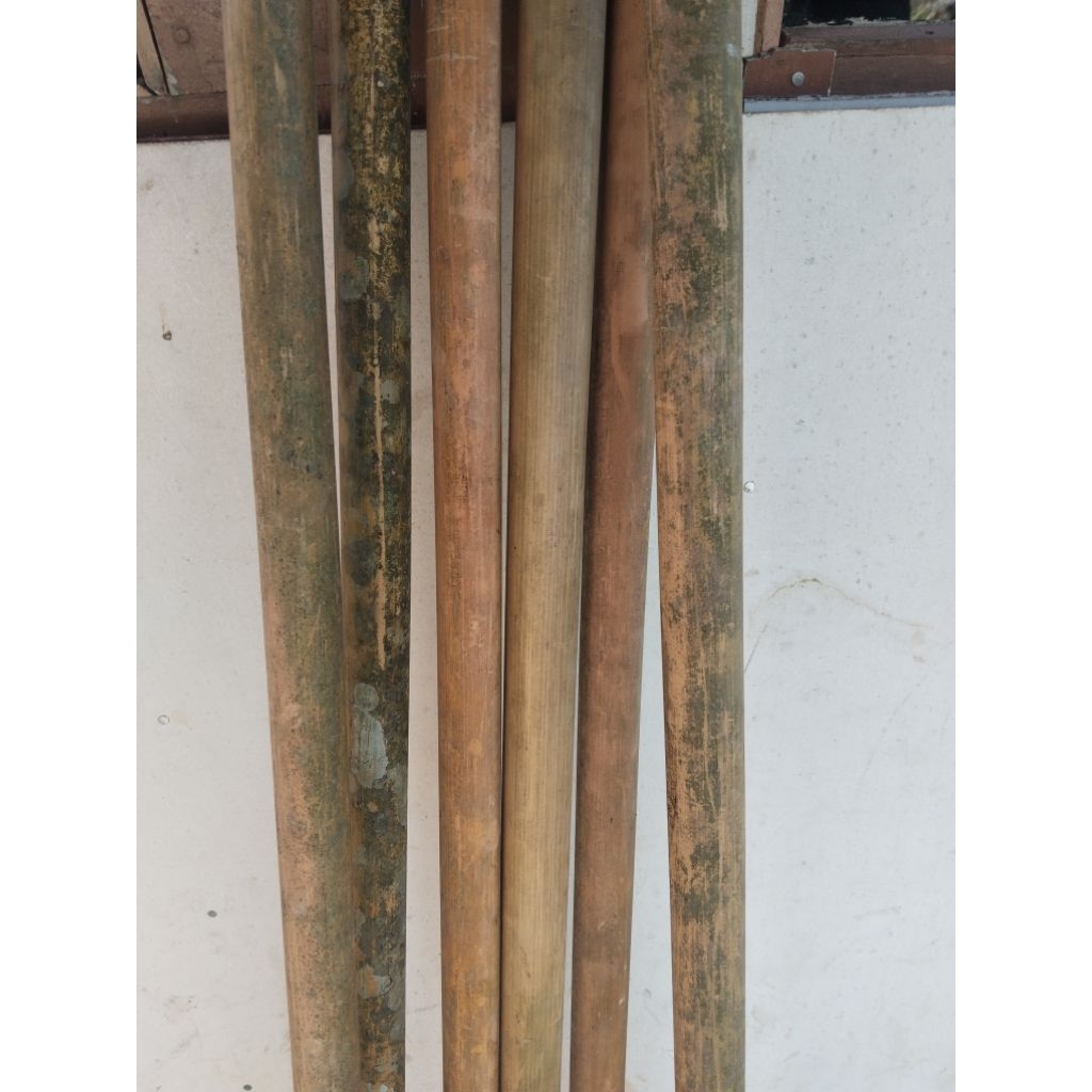 BAMBU TAMIANG isi 6 batang panjang 115cm untuk suling