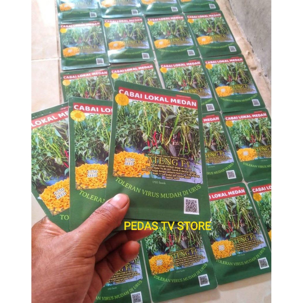 Bibit Cabe Ateng F1 10 Gram