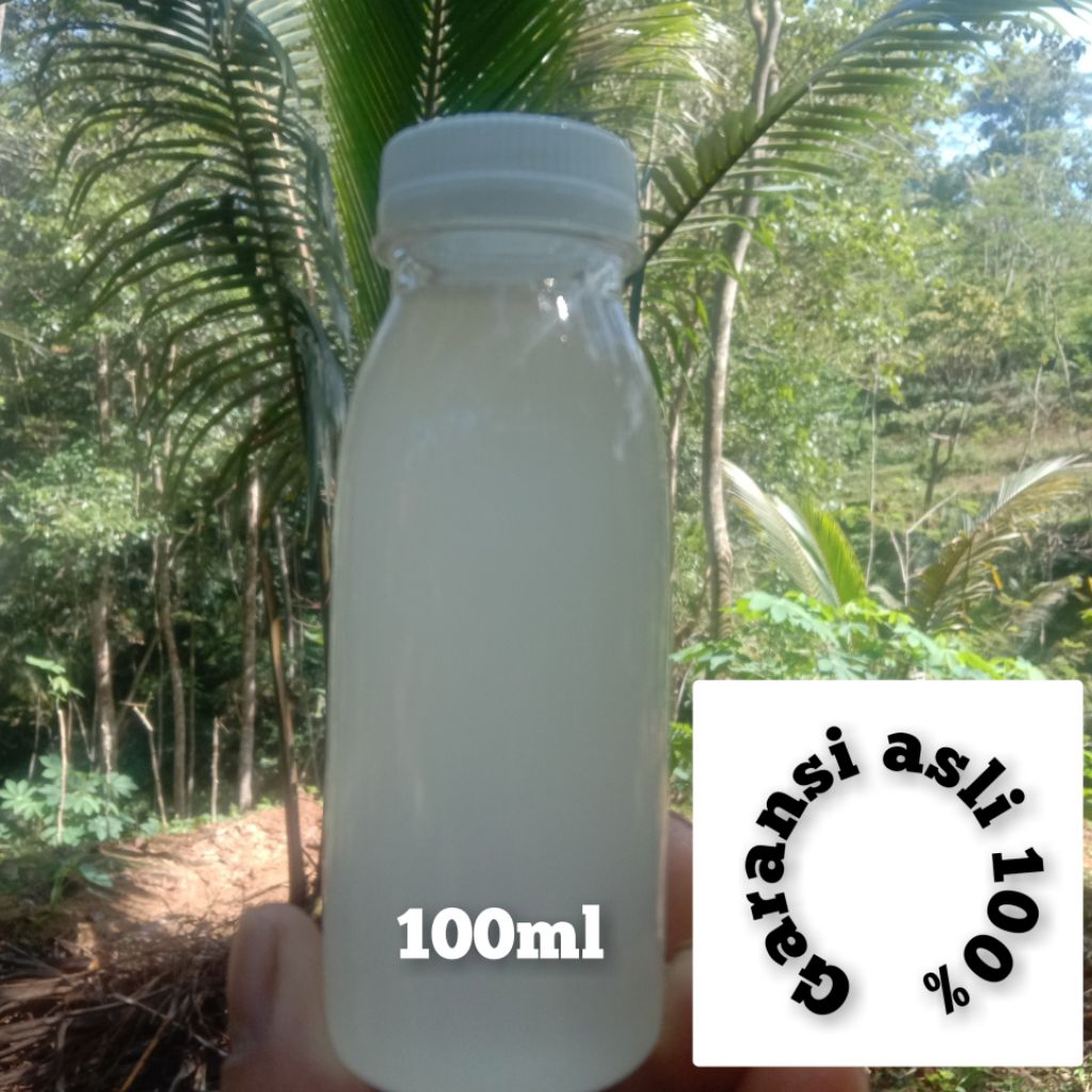 

minyak klentik murni 100% 100ml