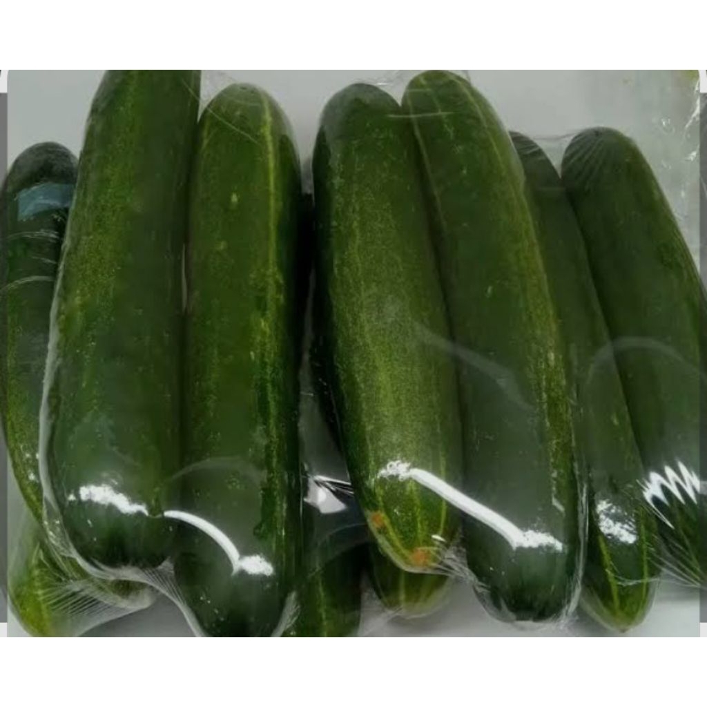 

buah timun, BUAH TIMUN