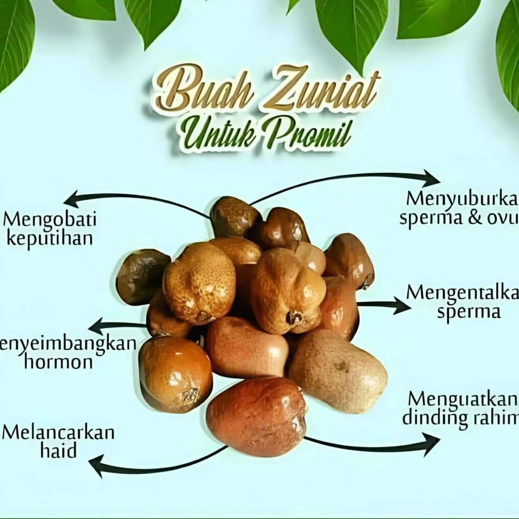 

Buah Zuriat Mesir Promil 500g