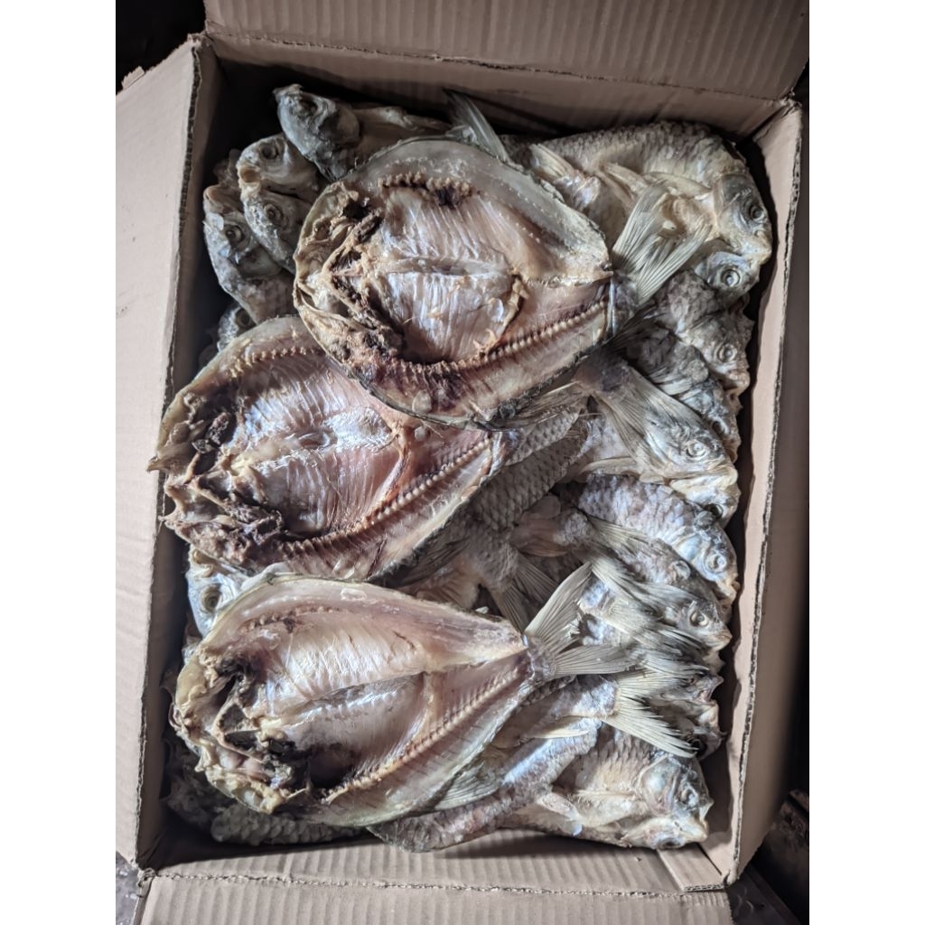 

Ikan tawes kering asin jumbo 1dus/20kg