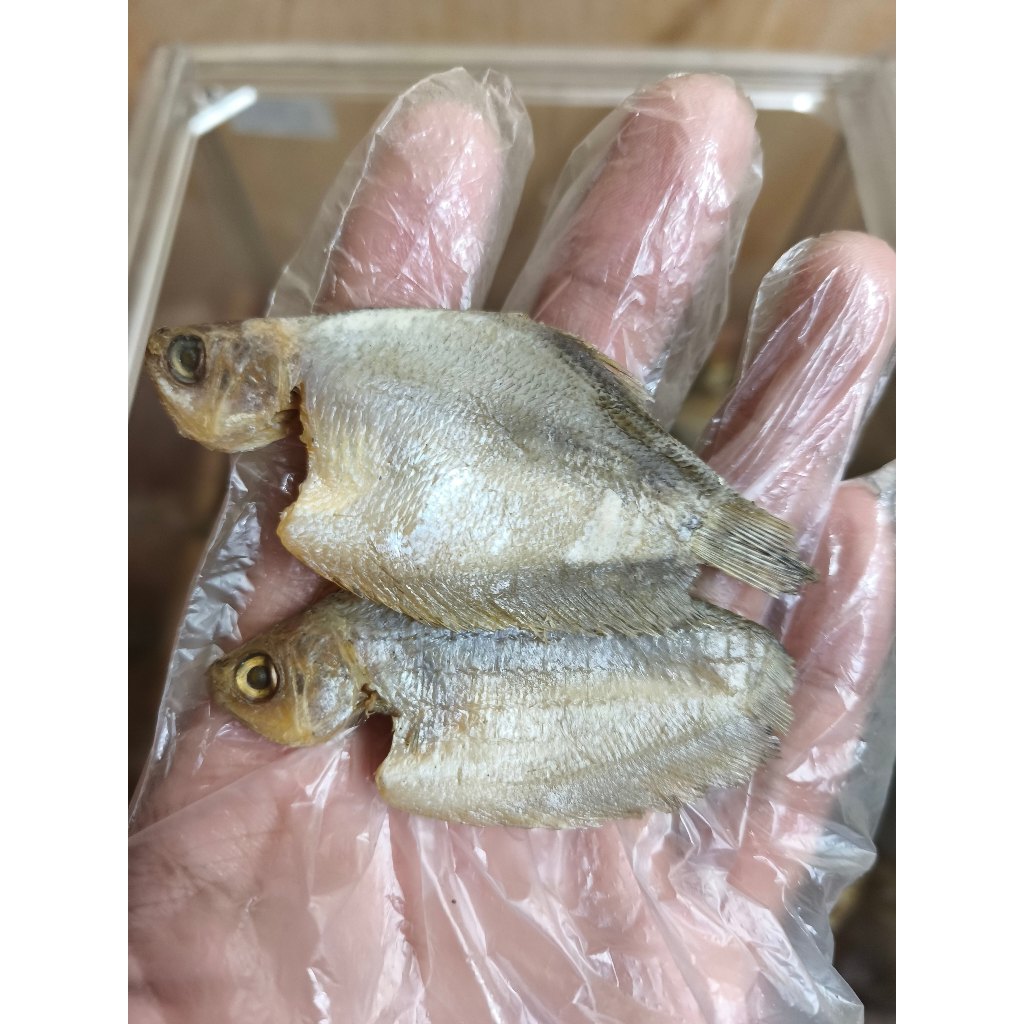 

Ikan Asin Sepat Premium 250g/500g – Asli Kering dan Gurih