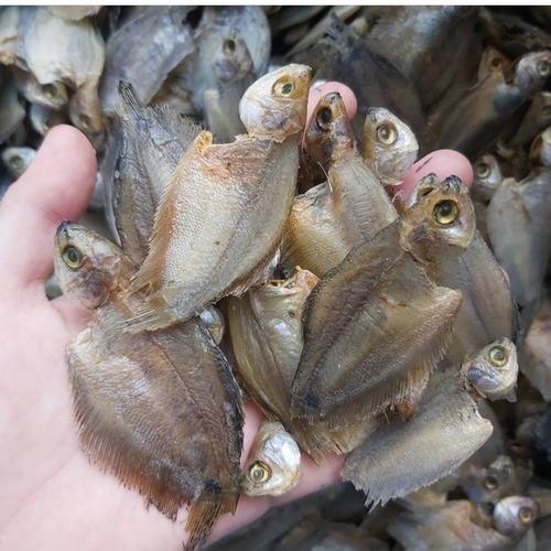 

Ikan Sepat Kering Asli – Ikan Asin Gurih untuk Lauk Rumahan