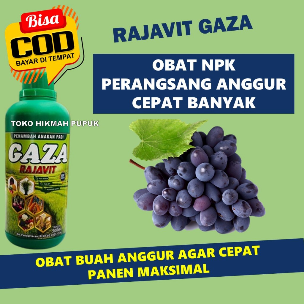 PROMO Pupuk Anggur saat berbunga NPK RAJAVIT 500 ml buah Anggur tumbuh sehat dan berbuah lebat/Pupuk