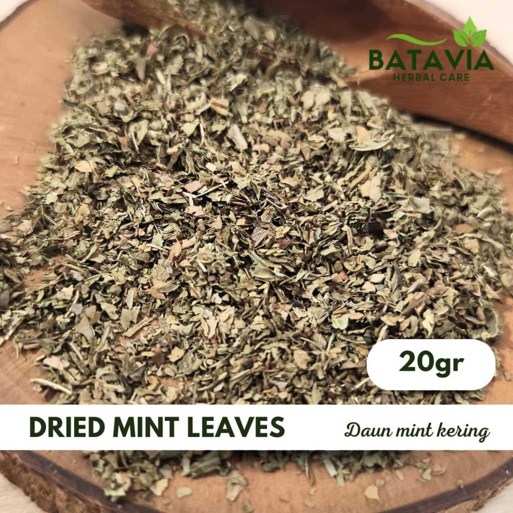 

Dried Mint Leaves Tea Daun Mint Cacah Kering Premium Herbs Time