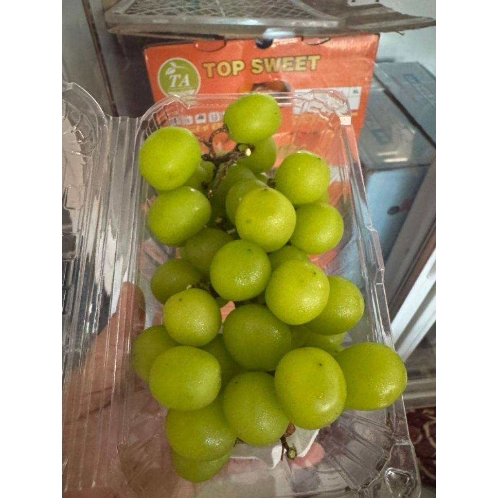 

Anggur hijau Muscat shine 500gr import
