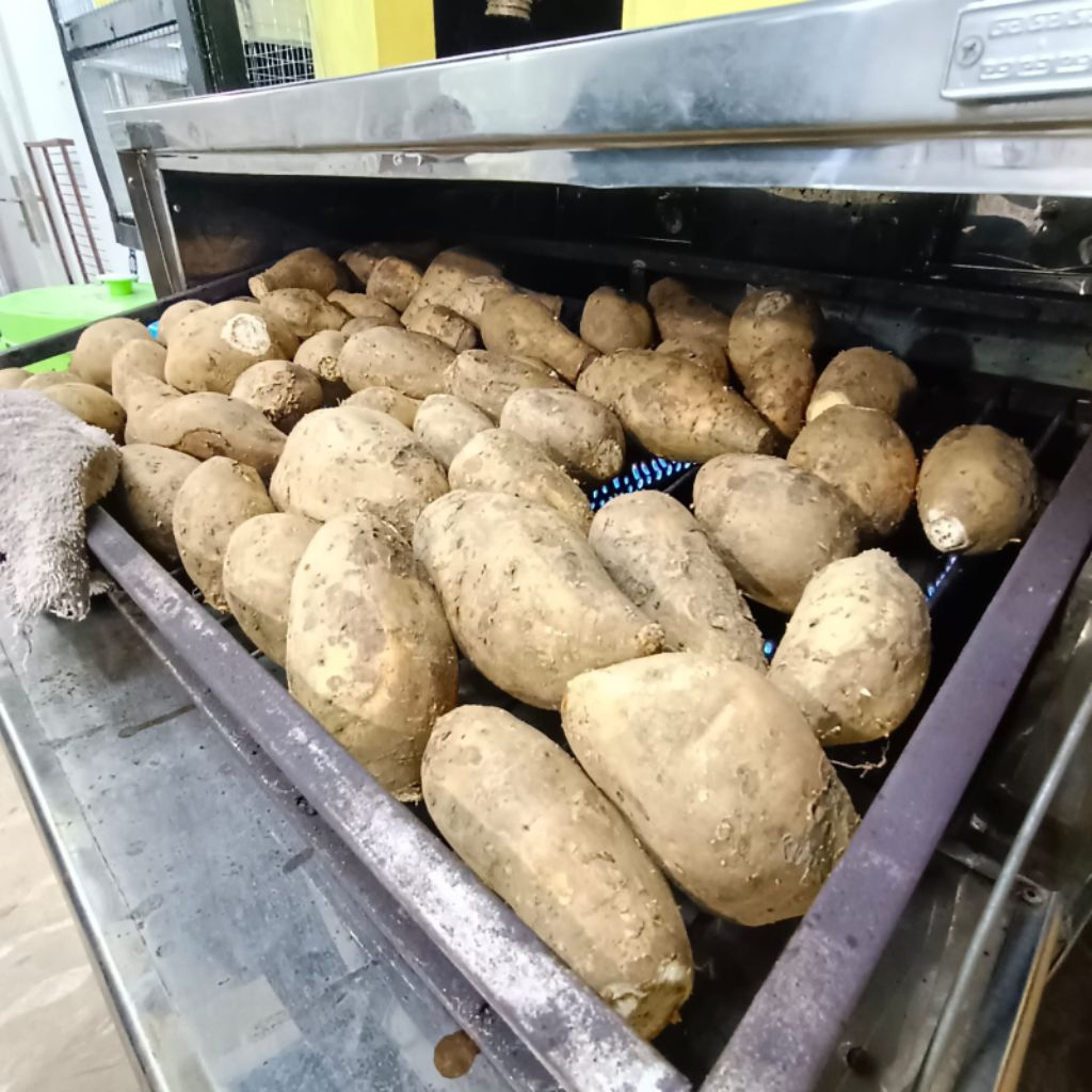 

1/2KG MATANG UBI BAKAR CILEMBU