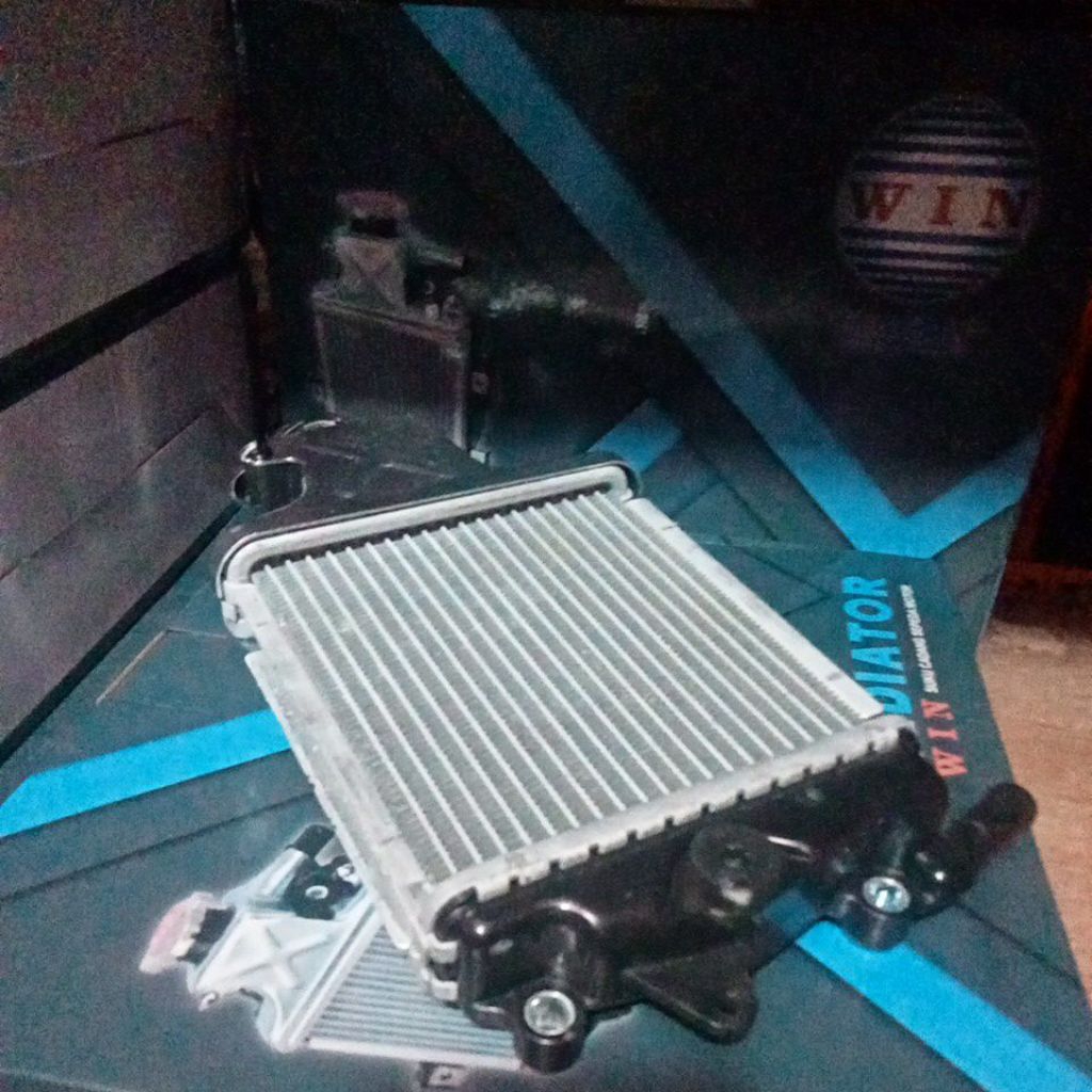 Radiator Motor WIN Vario125