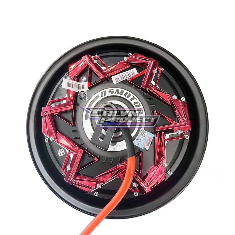 BLDC QS Motor 12 Inch Type Race WP 3000