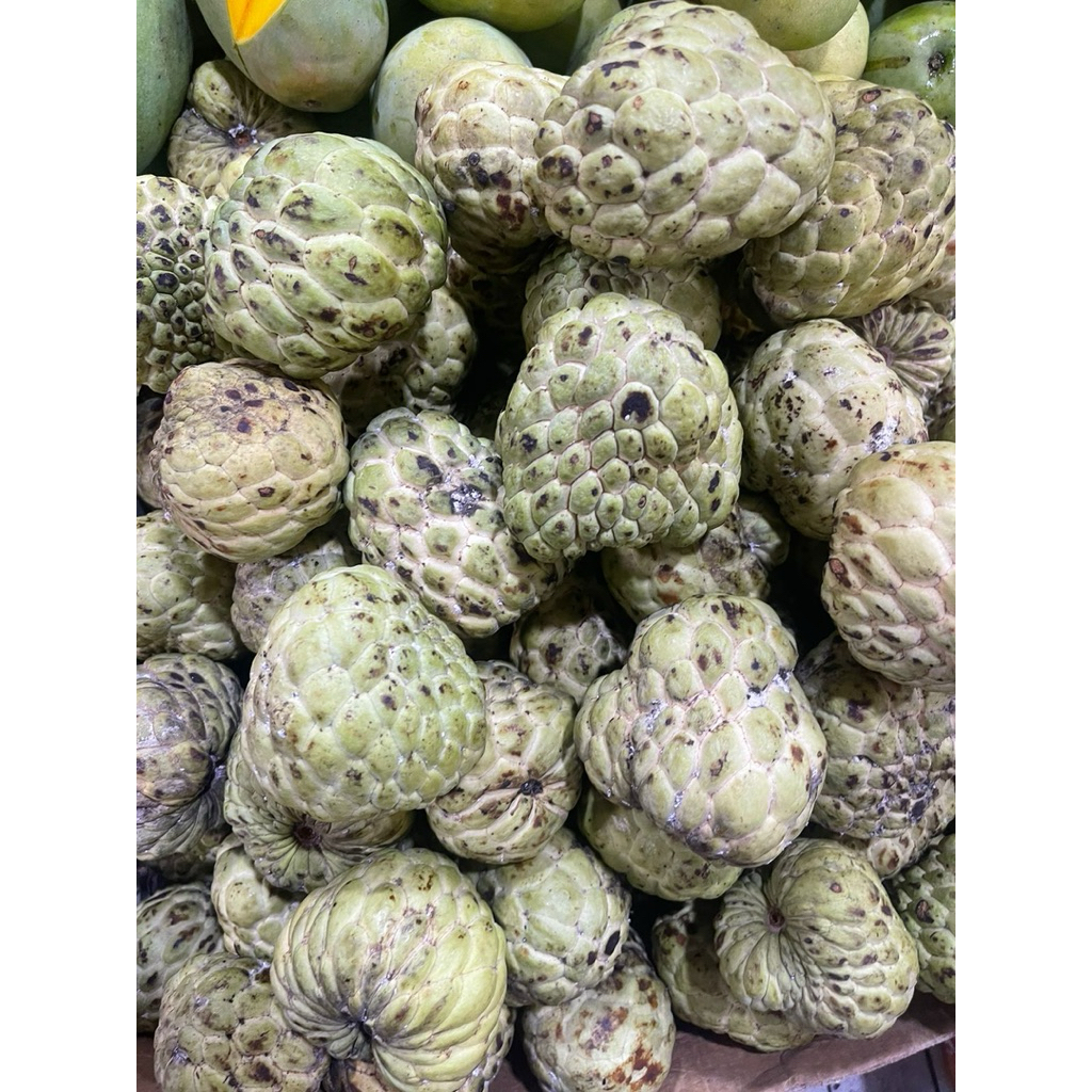 

Srikaya Super Manis | Srikaya Premium | Buah Fresh 1kg