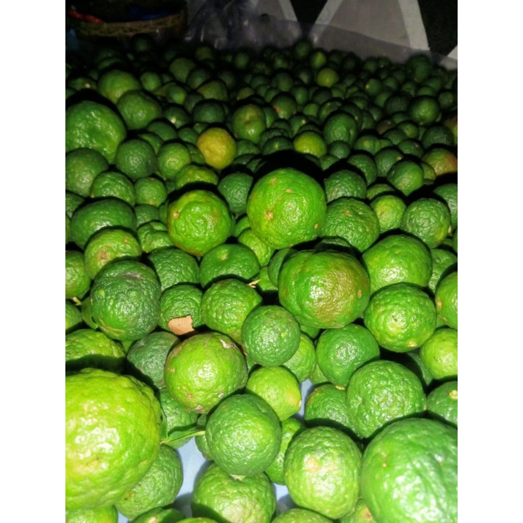 

jeruk limo/jeruk baso Aci ukuran campur 1kg fresh di petik langsung dari petani