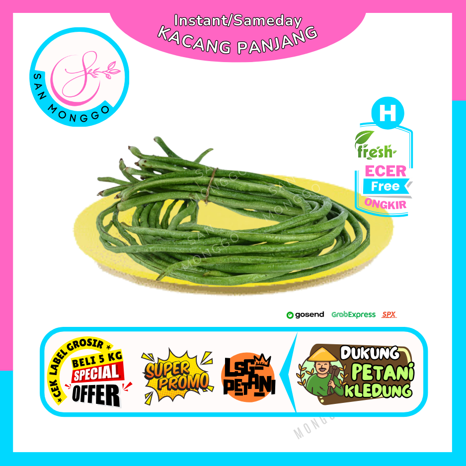 

Sanmonggoo >> Kacang Panjang --Hasil Bumi Sindoro Sumbing Ecer (H)