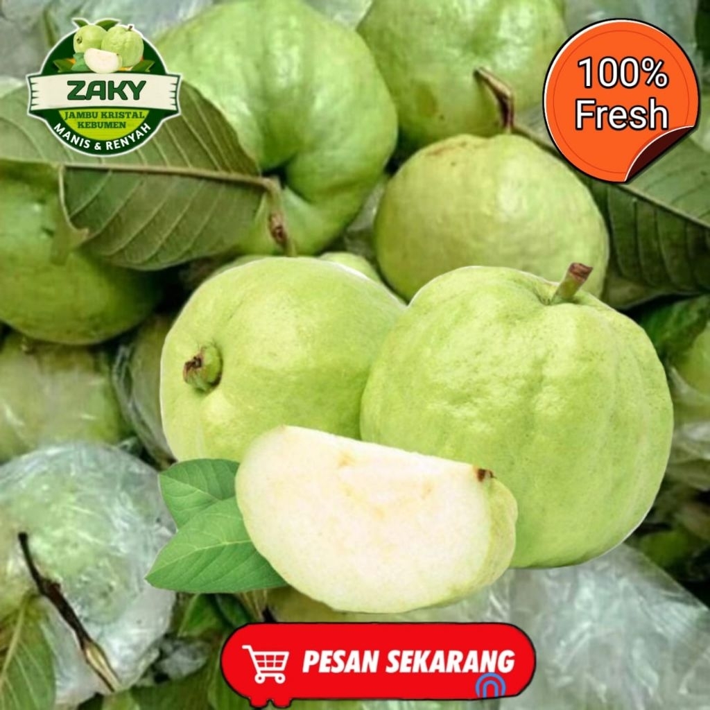 

Jambu Kristal Kebumen manis renyah Per 1 kgnya isi 6/7 buah fresh di petik sa'at mau di packing