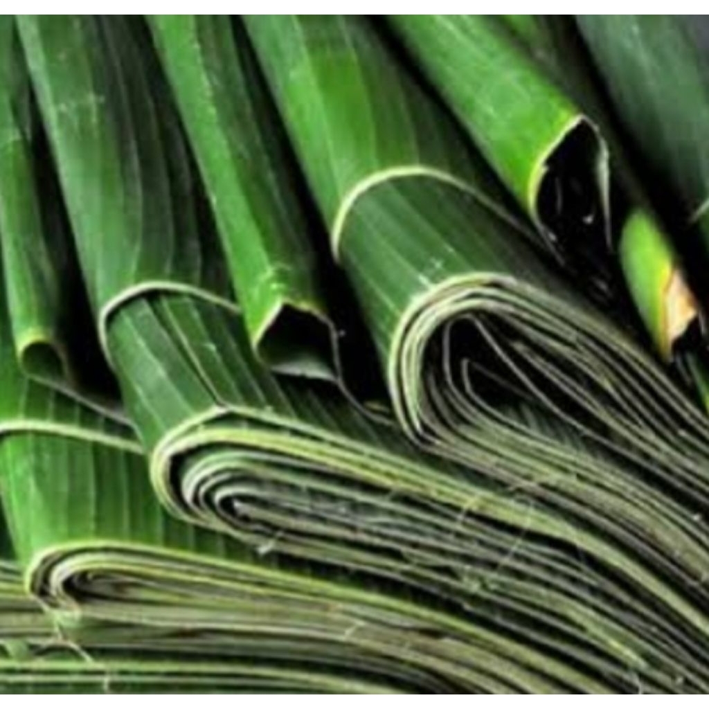 

Daun Pisang Fresh Ambil Dadakan 1 kg