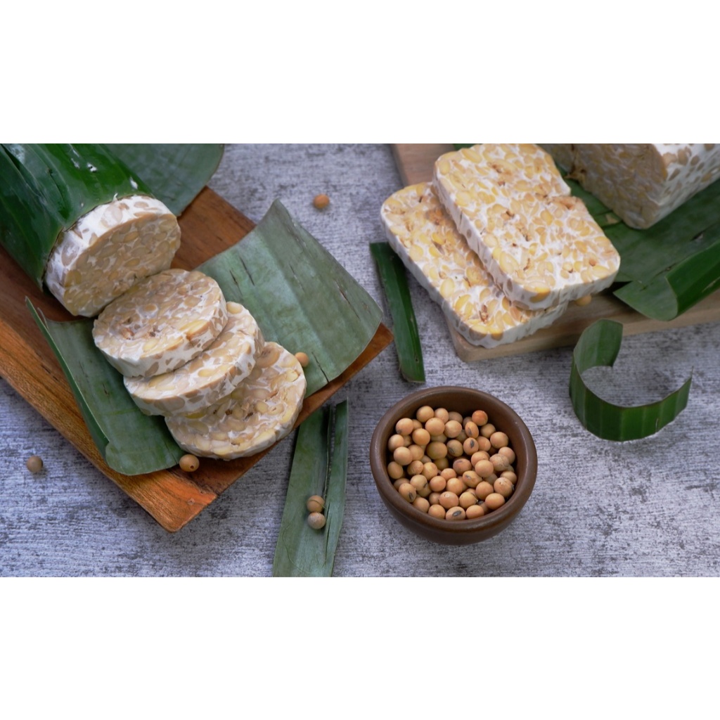 

TEMPE PENGIRIMAN INSTAN PALEMBANG