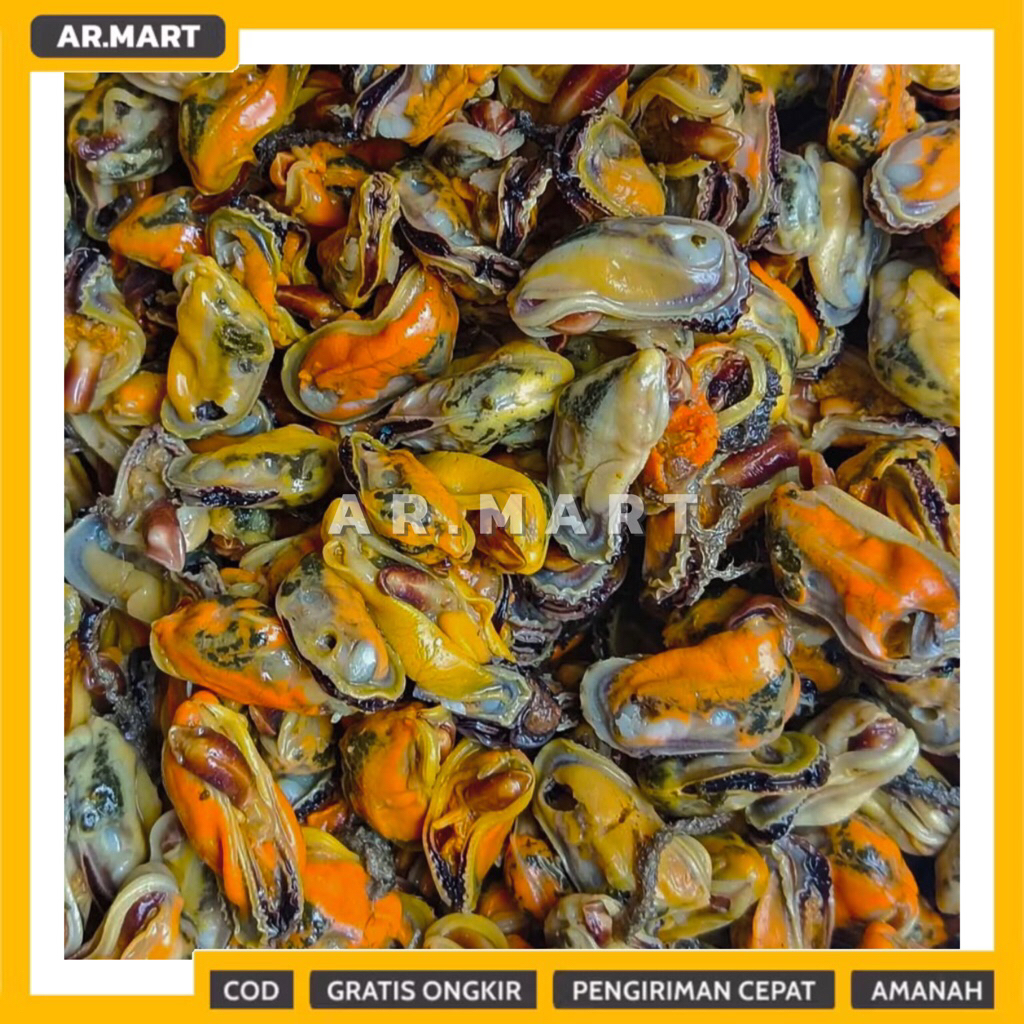 

Kerang Hijau Kupas Fresh 250gr