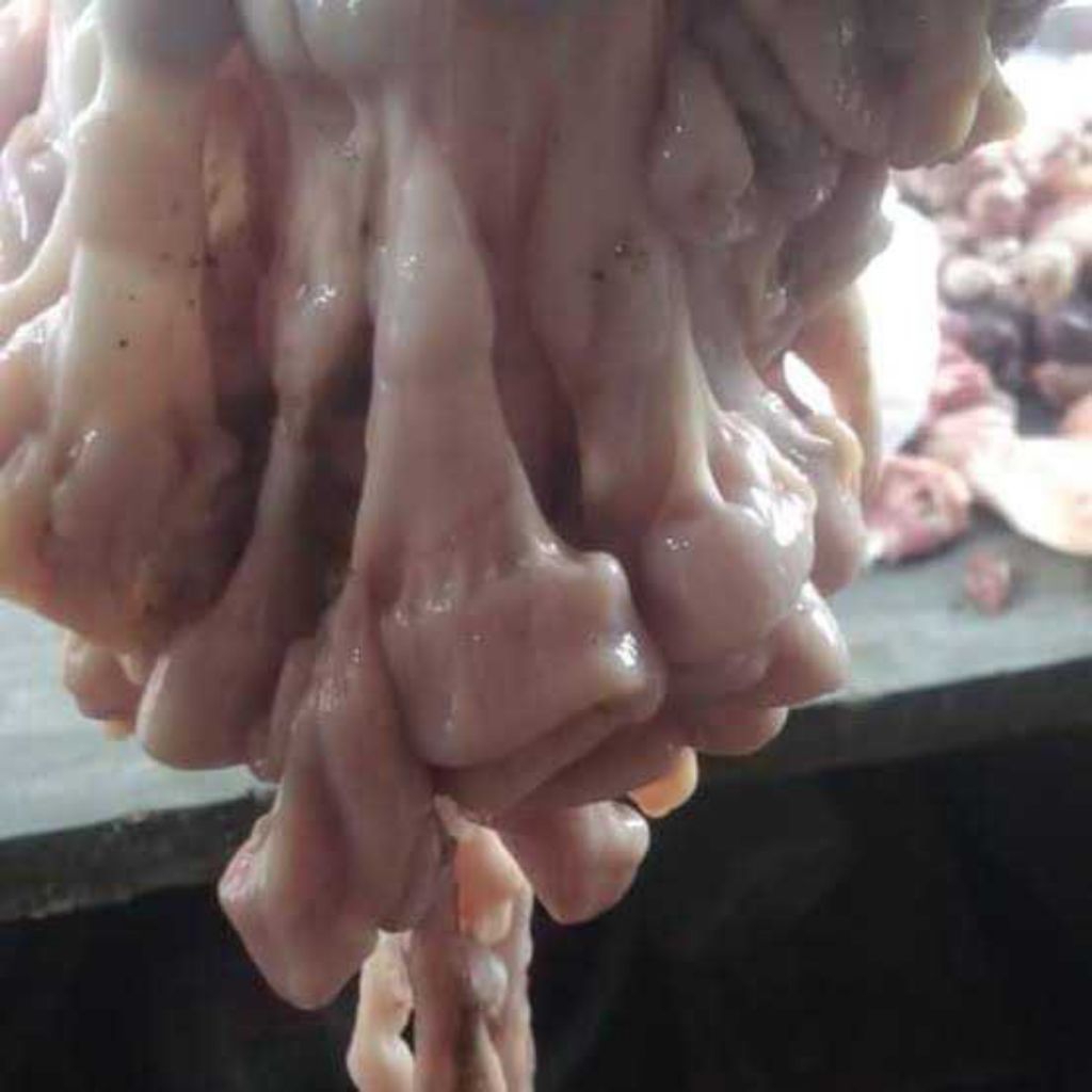 

Usus Kambing 1 kg